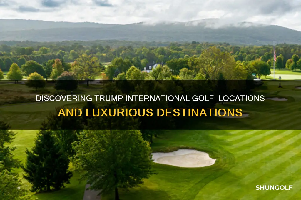 where is trump international golf
