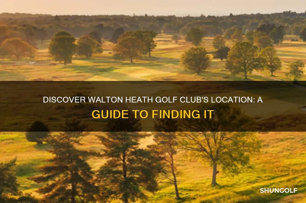 where is walton heath golf club