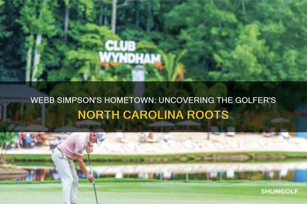 where is webb simpson the golfer from