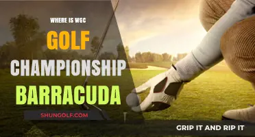 Barracuda Championship: WGC Golf Event in Tahoe