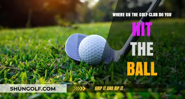 Mastering the Sweet Spot: Where to Hit the Ball on Your Golf Club