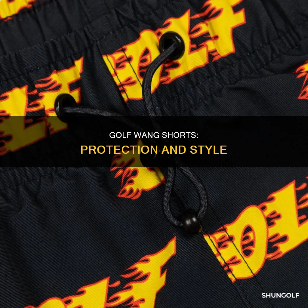where protection shorts golf wang