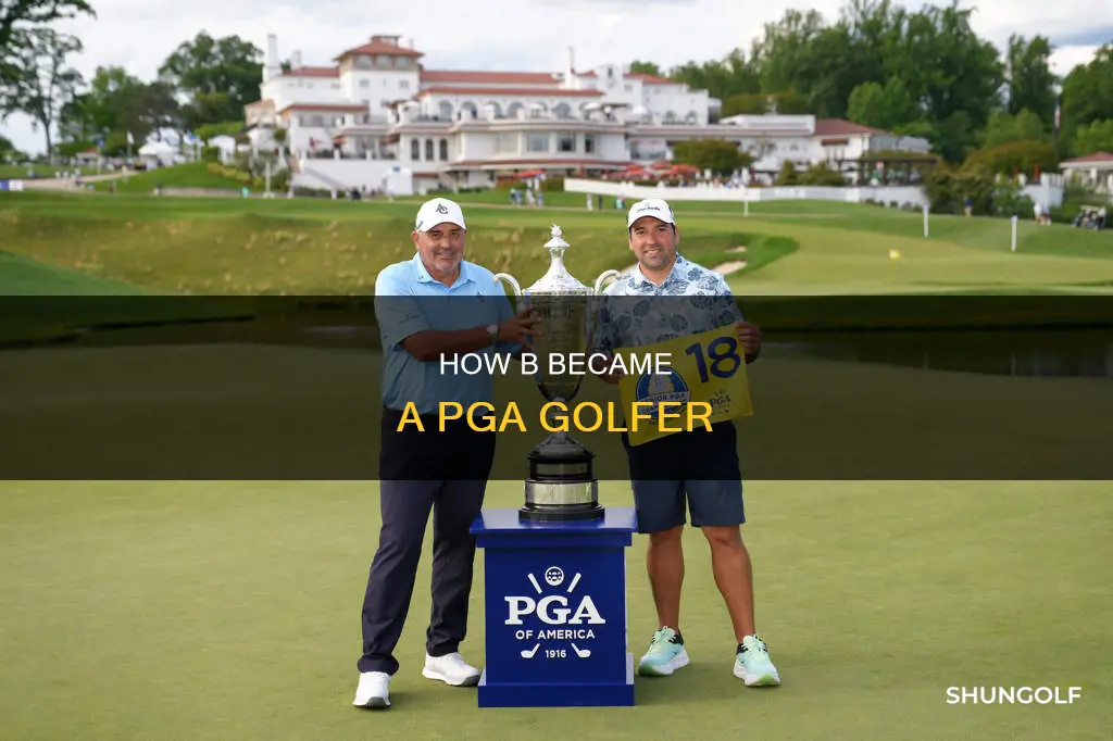 where qas pga golfer b