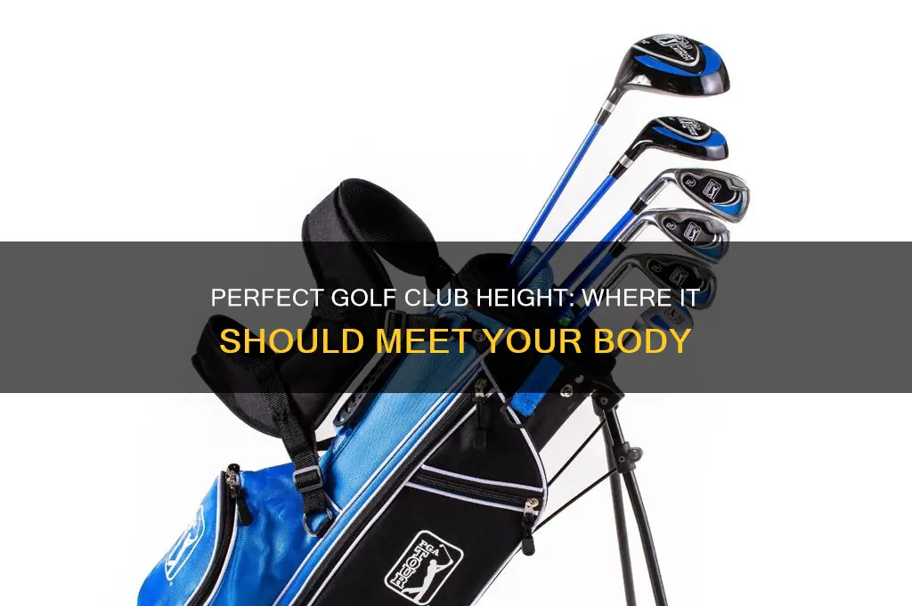 where should a golf club come up to
