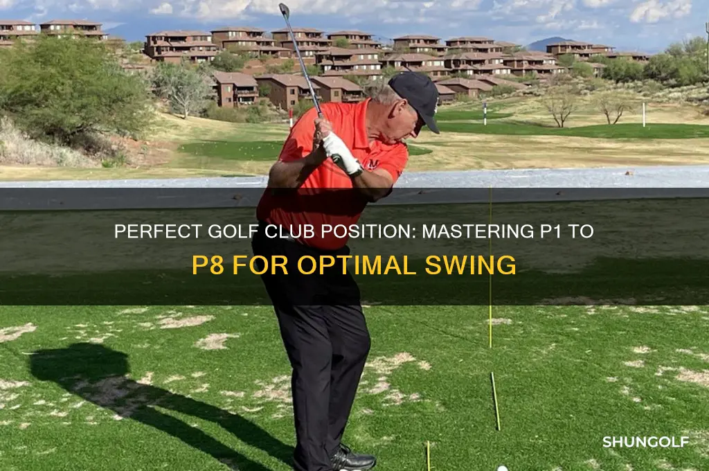 where the club should be at p1 - p8 golf