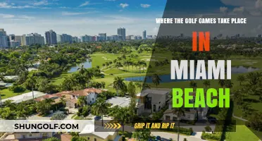 Discover Miami Beach's Top Golf Courses and Scenic Game Locations