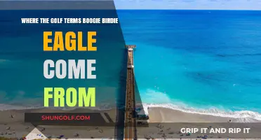 Origins of Golf's Fun Terms: Boogie, Birdie, and Eagle Explained