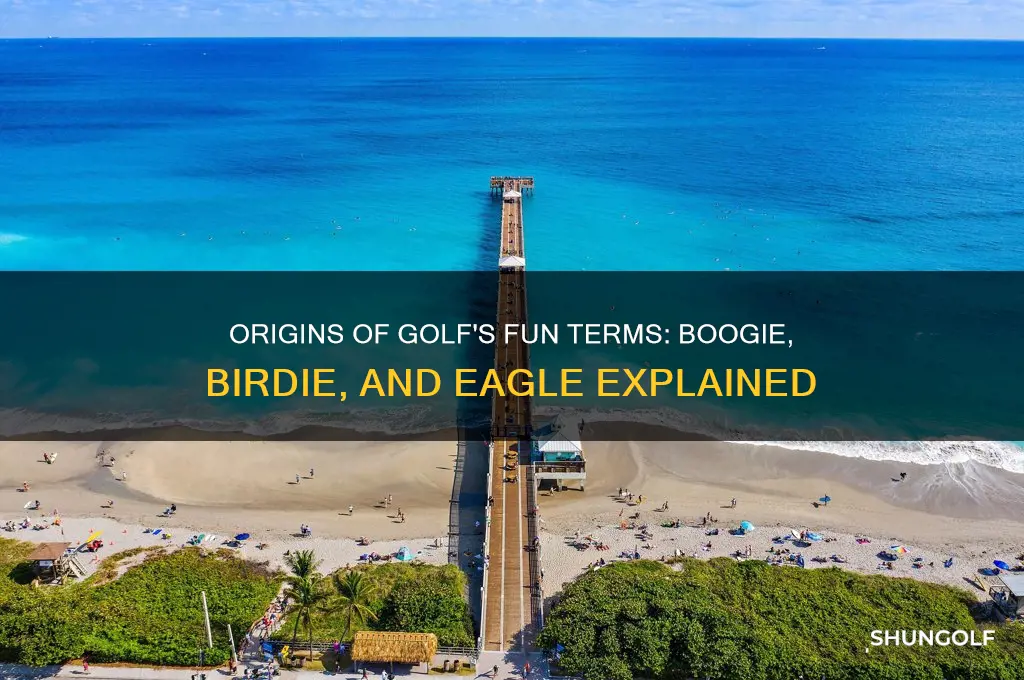 where the golf terms boogie birdie eagle come from