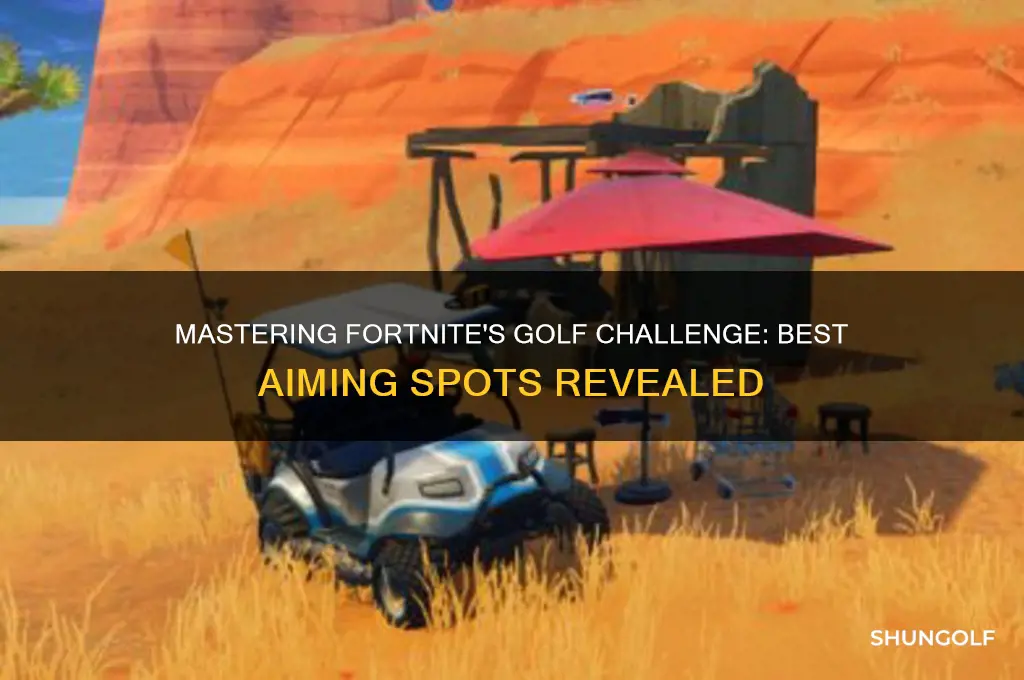 where to aim for the golf challenge fortnite