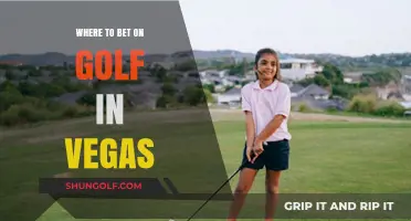 Top Vegas Golf Betting Spots: Your Ultimate Guide to Wagering