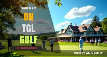 Betting on TGL Golf: Best Platforms and Tips