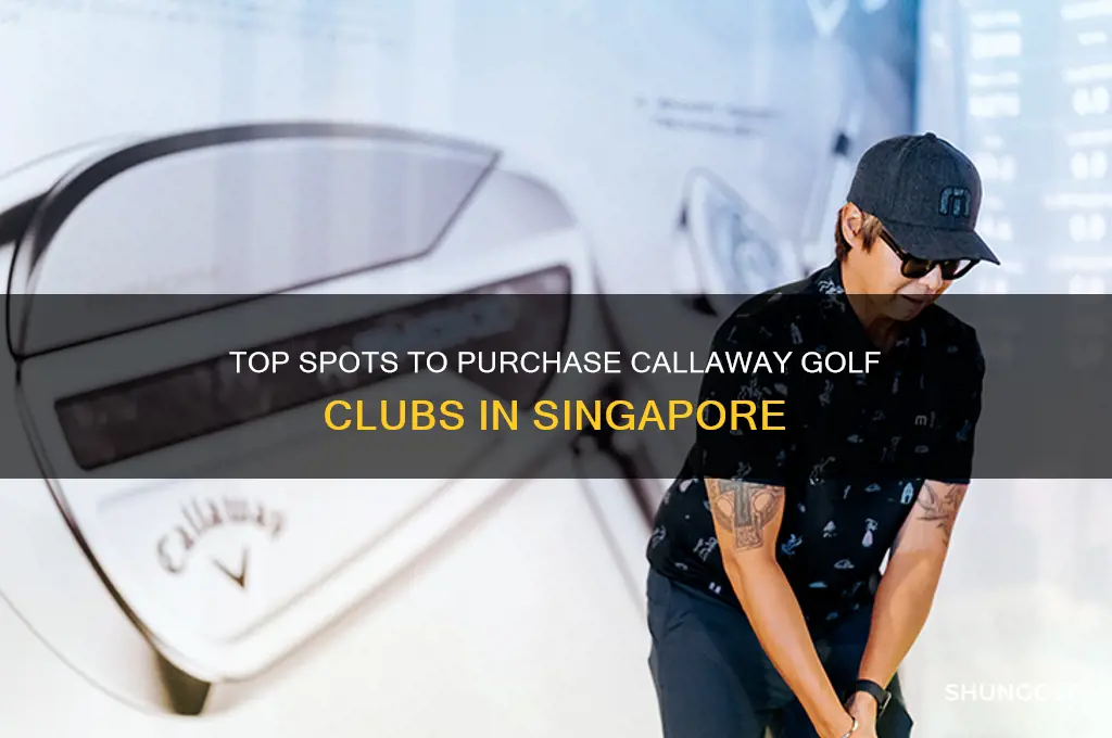 where to buy callaway golf clubs in singapore
