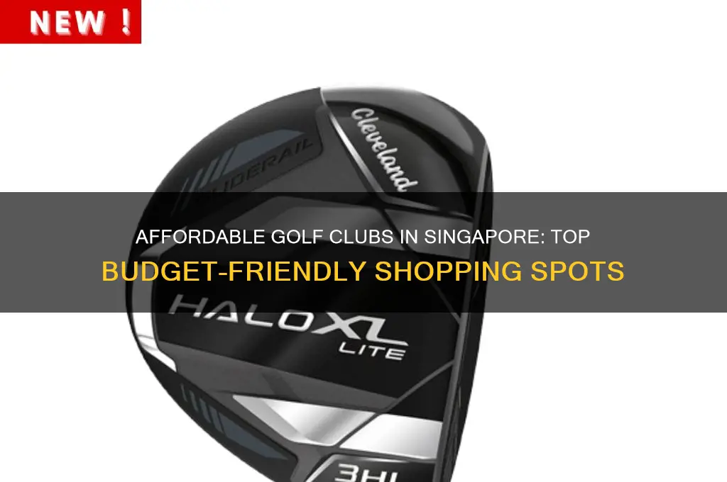 where to buy cheap golf clubs in singapore