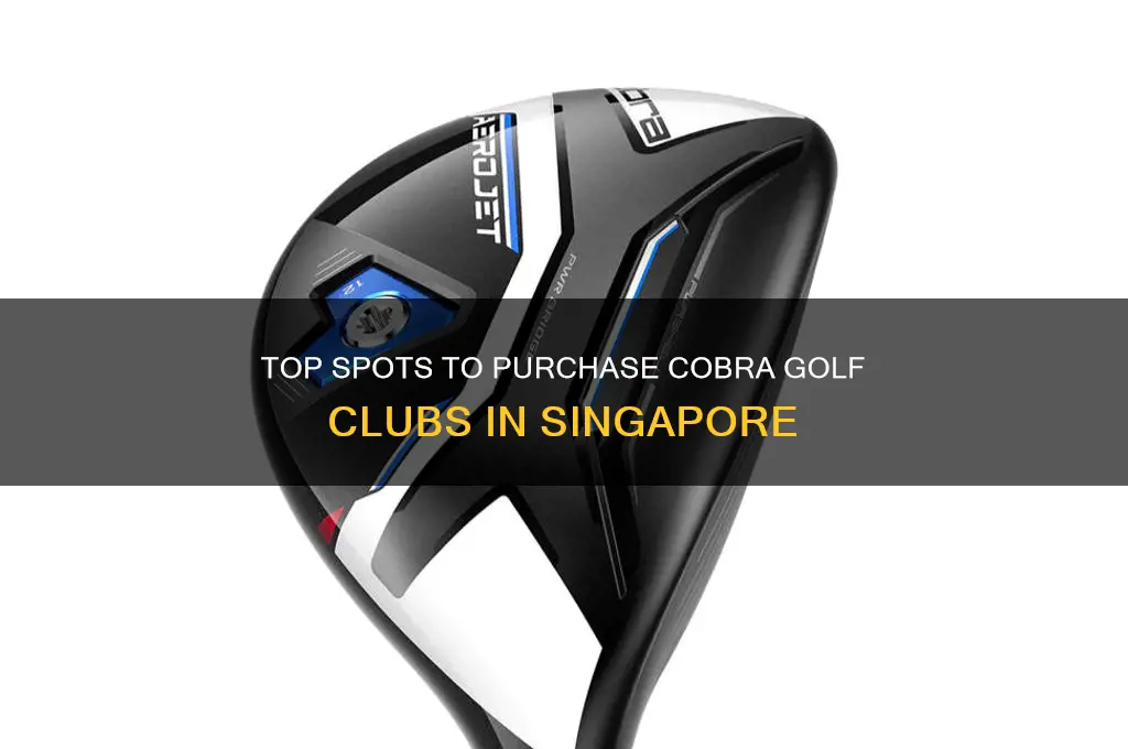 where to buy cobra golf clubs in singapore
