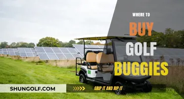 Top Golf Buggy Retailers: Where to Find Your Perfect Ride