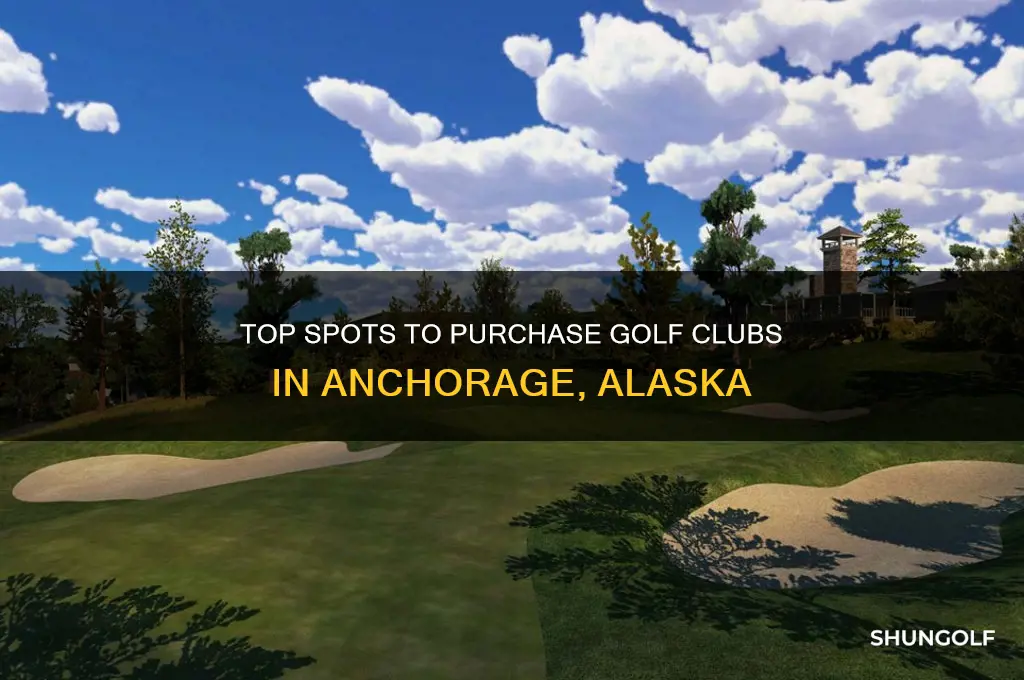 where to buy golf clubs in anchorage