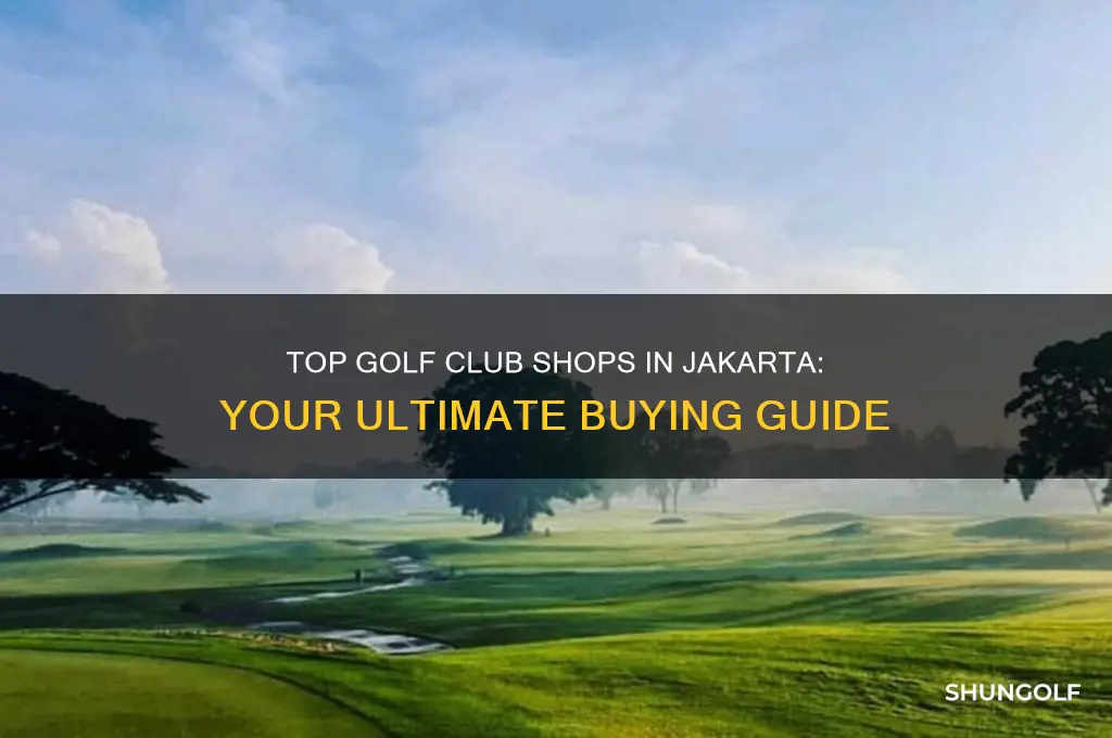 where to buy golf clubs in jakarta