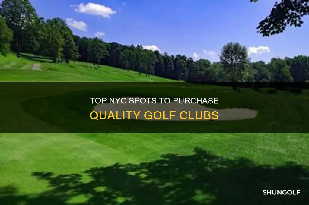 where to buy golf clubs in new york city