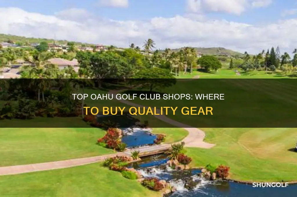 where to buy golf clubs oahu