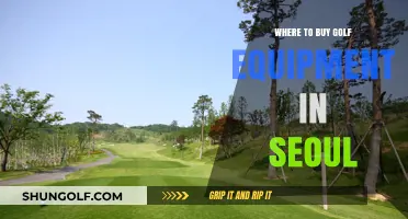 Top Golf Equipment Stores in Seoul: Your Ultimate Shopping Guide