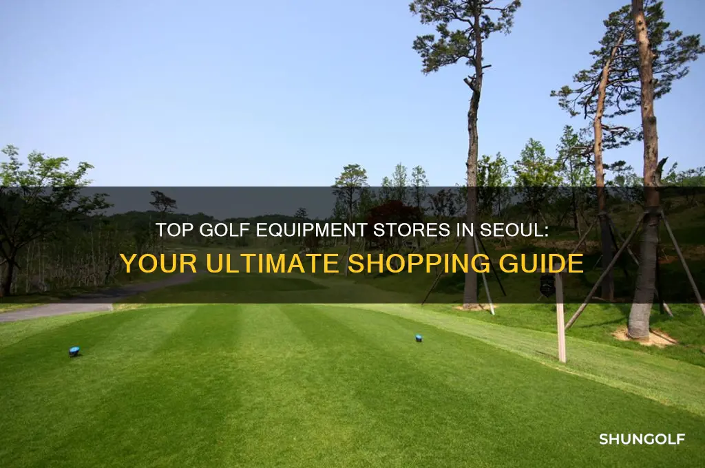 where to buy golf equipment in seoul