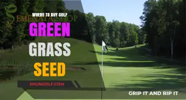 Top Places to Purchase High-Quality Golf Green Grass Seed Online