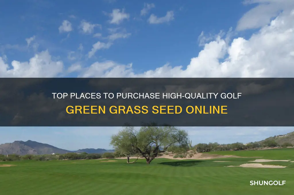 where to buy golf green grass seed