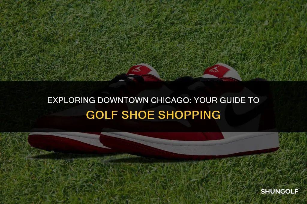 where to buy golf shoes downtown chicago