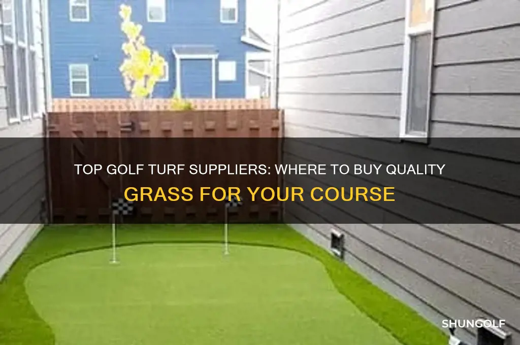 where to buy golf turf