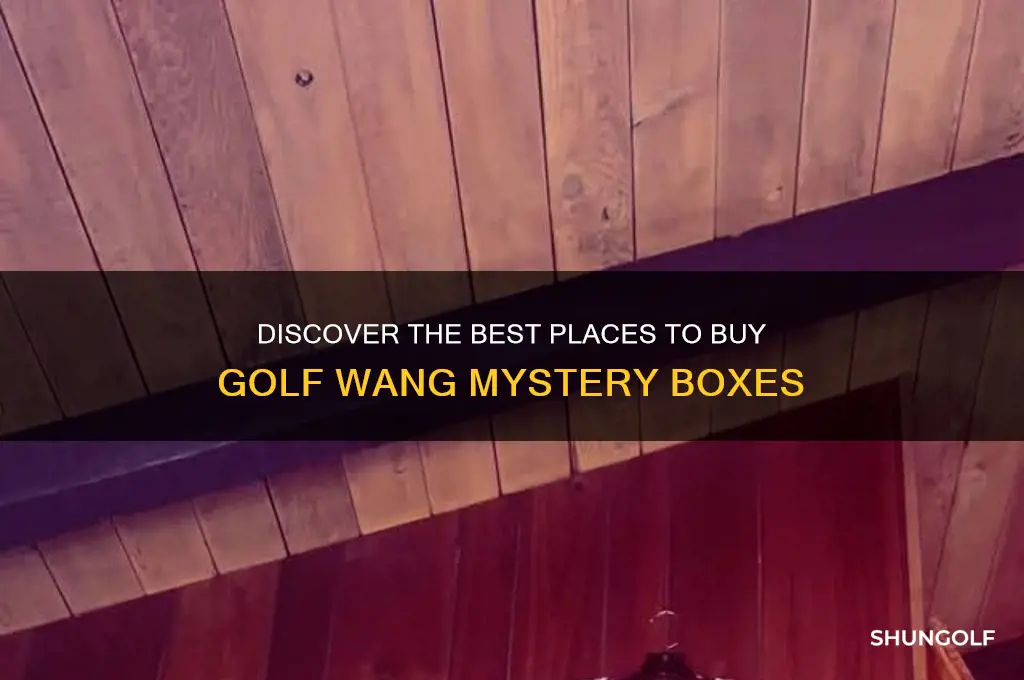 where to buy golf wang mystery box