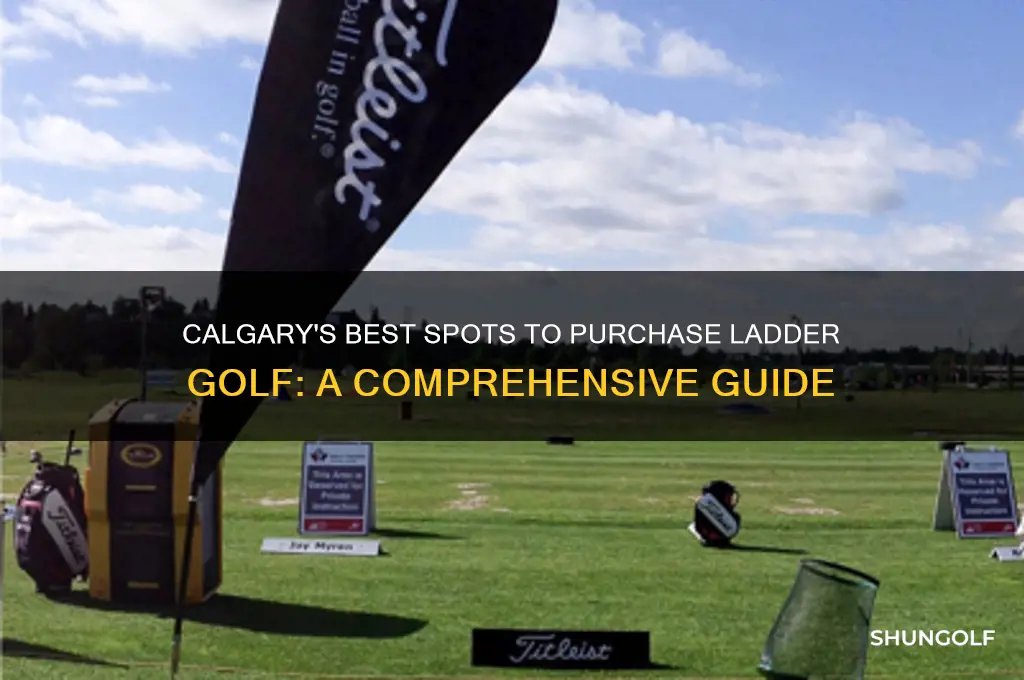 where to buy ladder golf in calgary