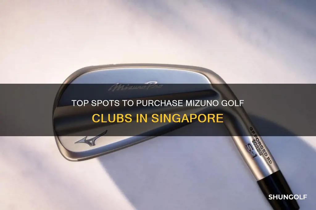 where to buy mizuno golf clubs in singapore