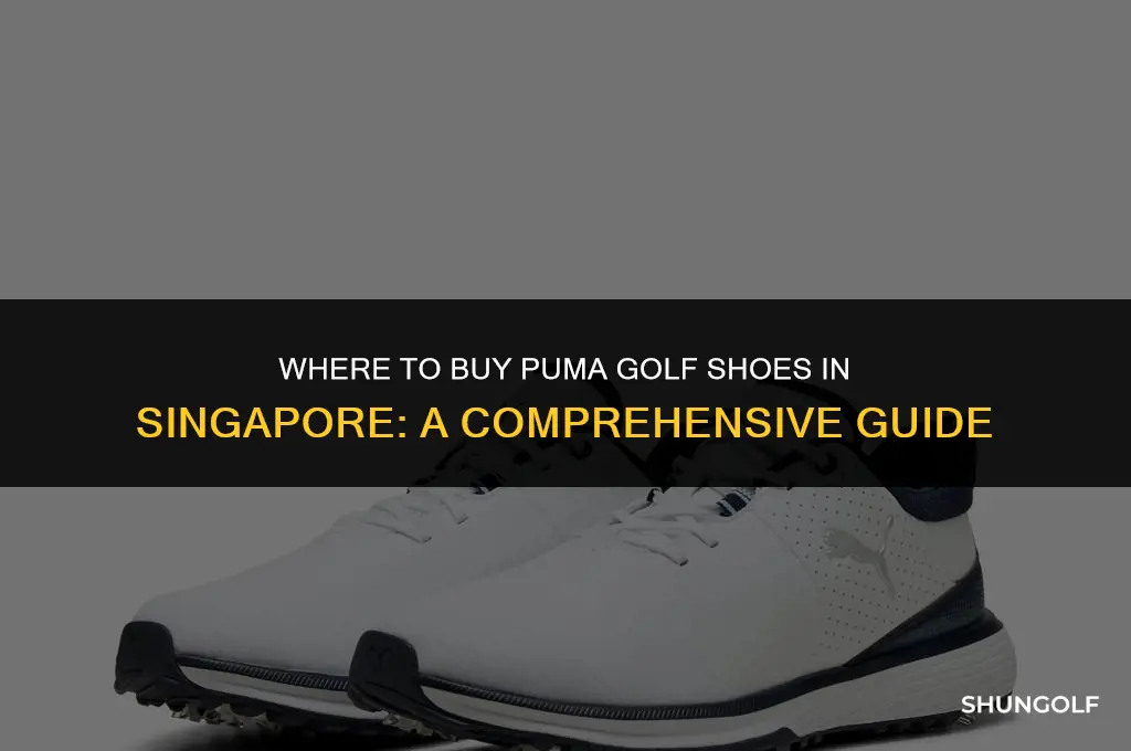 where to buy puma golf shoes in singapore