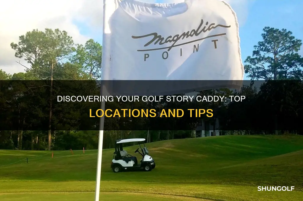 where to find a caddy in golf story