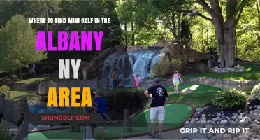 Discover Albany NY's Best Mini Golf Spots for Family Fun