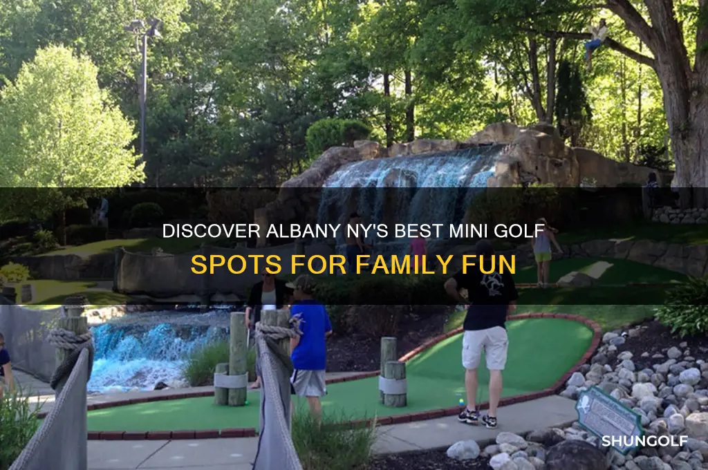 where to find mini golf in the albany ny area