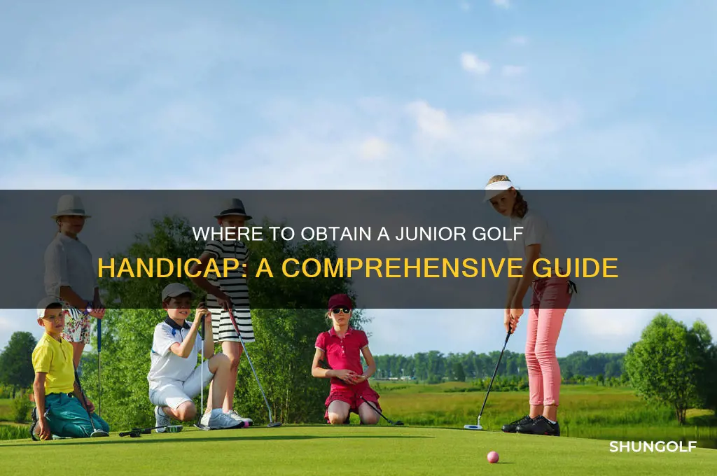 where to get a golf handicap junior