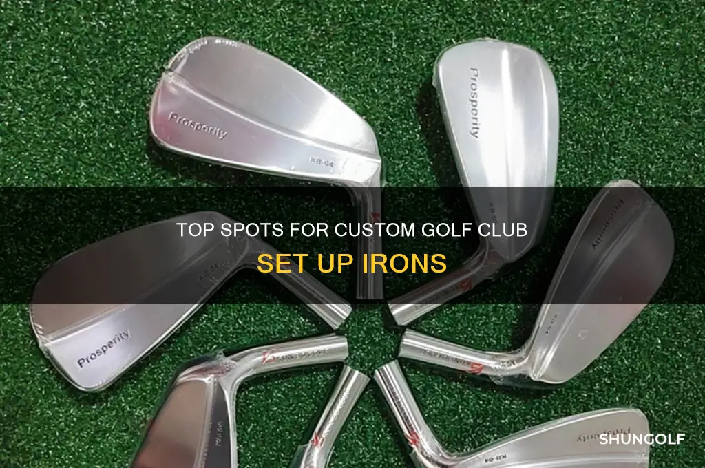 where to get custom golf club set up irons