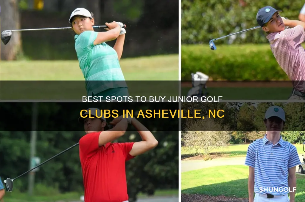 where to get junior golf clubs in asheville north carolina