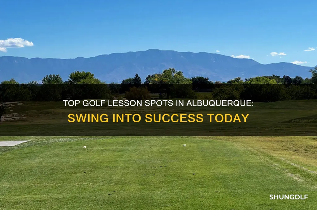 where to go for golf lessons in albuquerque