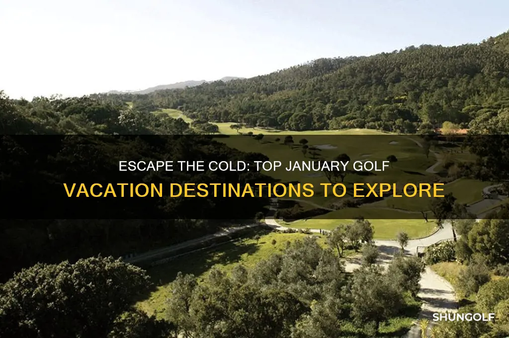 where to go golf vacation in january