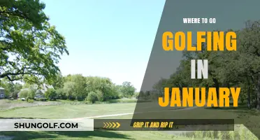 Escape the Cold: Top January Golfing Destinations to Warm Up Your Swing
