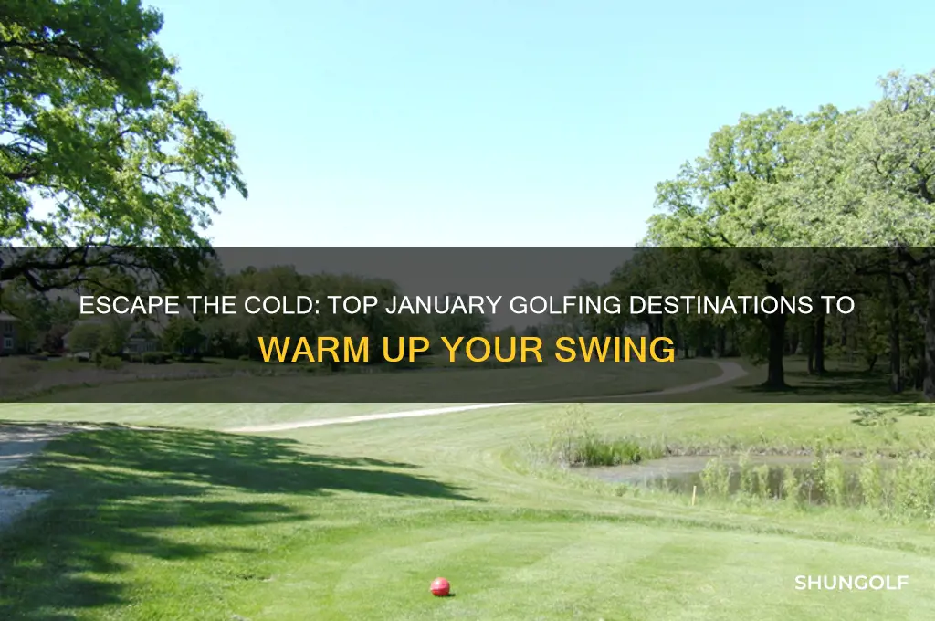 where to go golfing in january