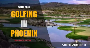 Top Phoenix Golf Courses: A Guide to the Best Greens in the Valley