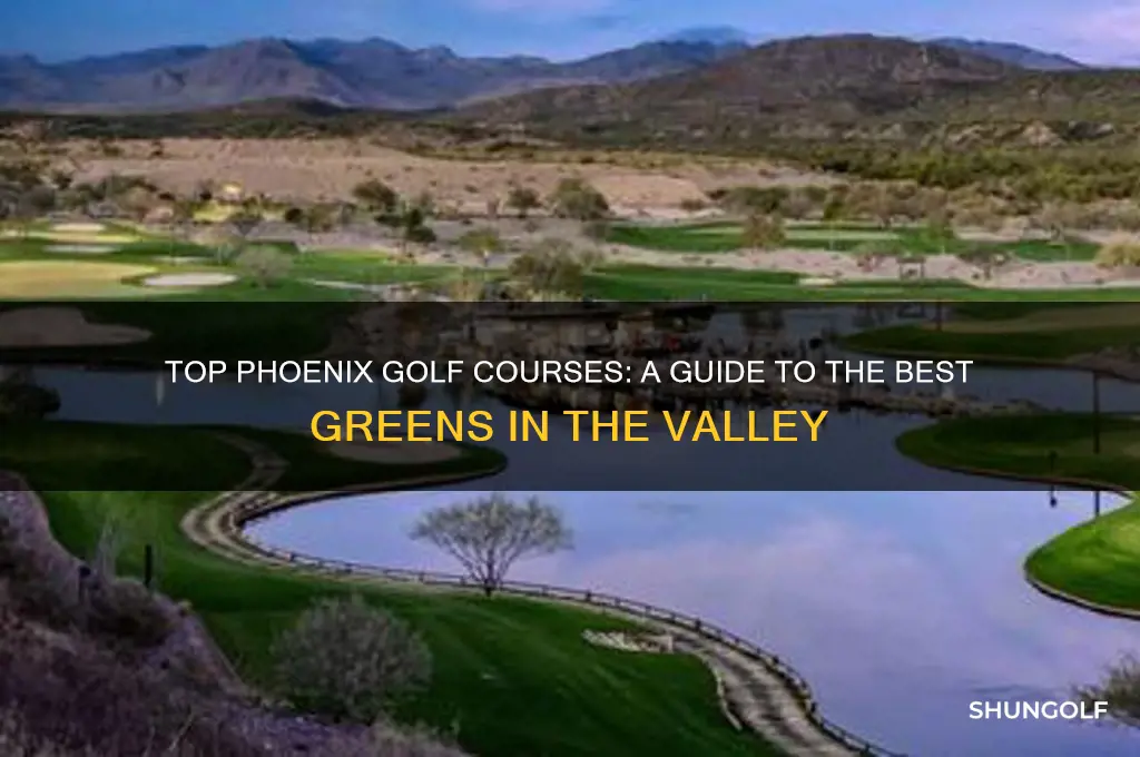 where to go golfing in phoenix