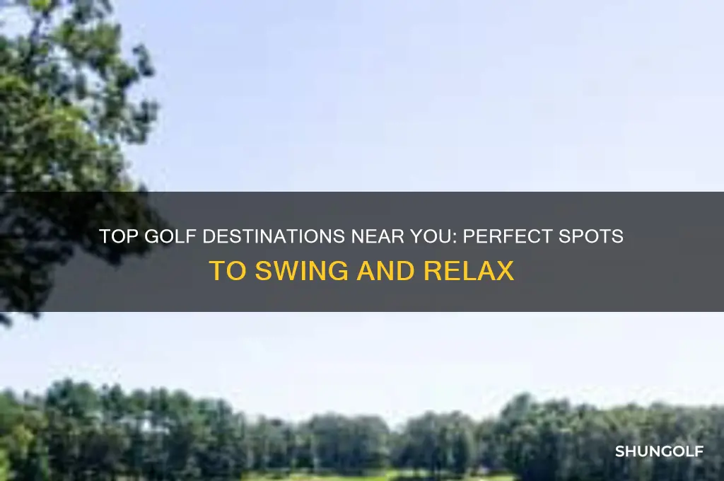 where to go to golf near
