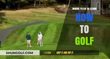 Discover the Best Golf Learning Destinations for Beginners and Beyond