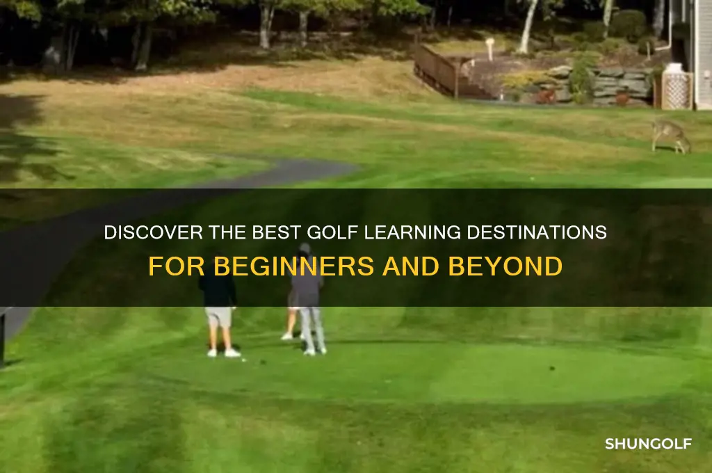 where to go to learn how to golf