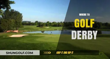 Top Golf Courses in Derby: A Guide to the Best Greens