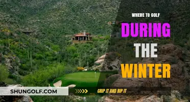 Winter Golf Getaways: Top Destinations for Year-Round Fairway Fun